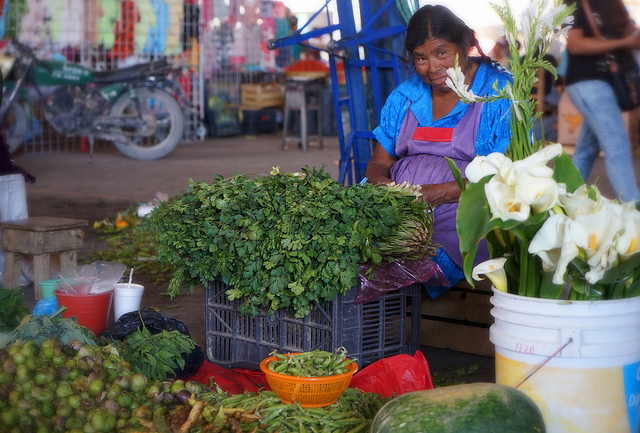 tehuacan mexico