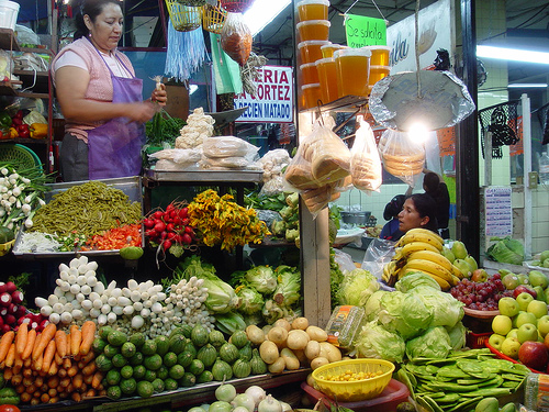 zapopan mexico