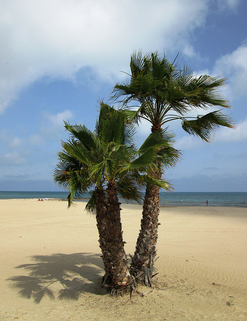 castellondelaplana spain